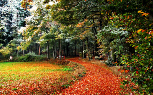 673919 (a): :2560x1600